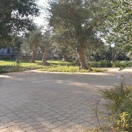 Holiday home Tra Gli Ulivi *