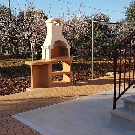 Tra Gli Ulivi