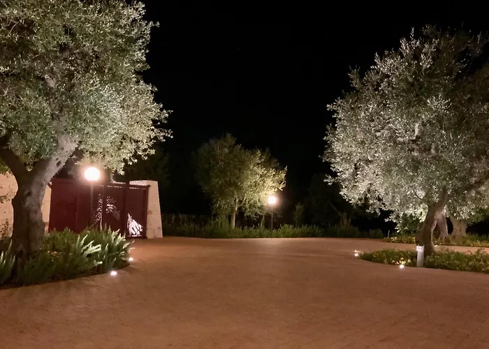 Tra Gli Ulivi Tatil Evi Putignano